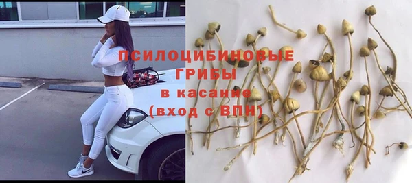 метамфетамин Белокуриха
