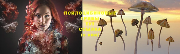 метамфетамин Белокуриха