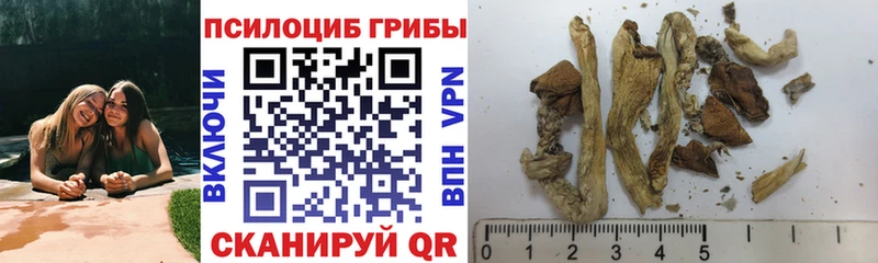 даркнет официальный сайт  Облучье  Галлюциногенные грибы ЛСД 